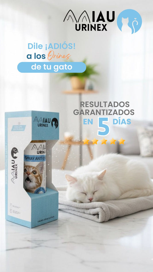 Miau Urinex Antiorina felina | Megalanzamiento